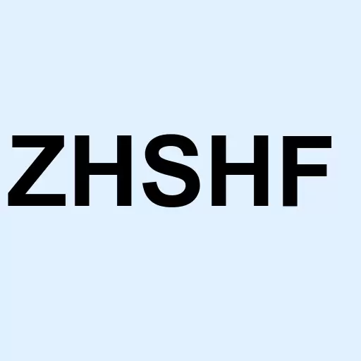 Zhongsheng Group Holdings Limited Logo