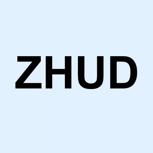Zhuding International Ltd Logo
