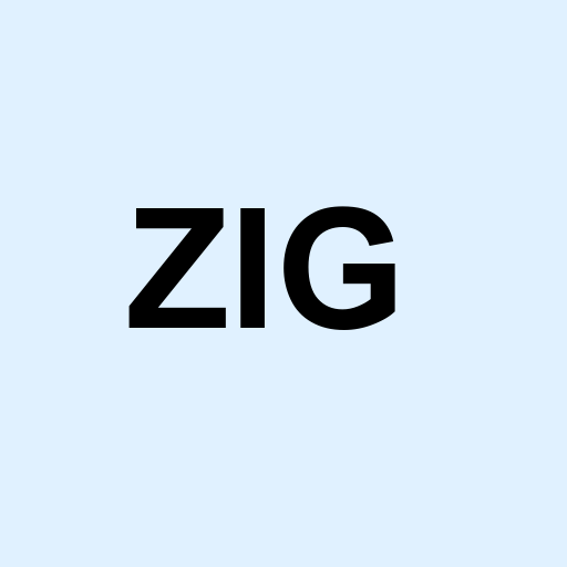 Stock zig logo