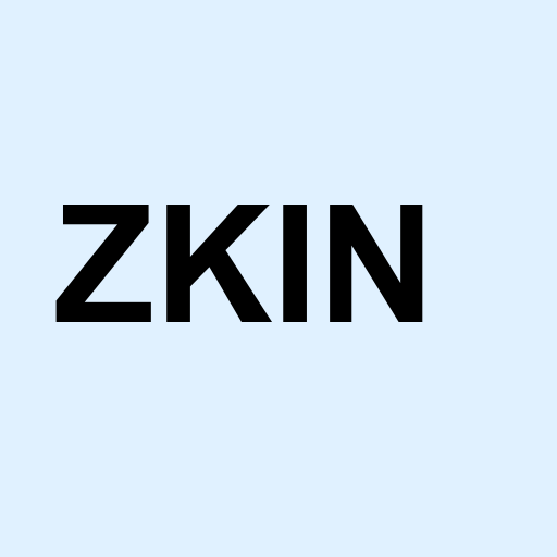 Stock zkin logo