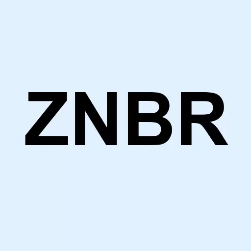 Zinco Do Brasil Inc Logo