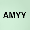 Stock amyy logo