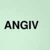 Stock angiv logo