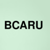Stock bcaru logo