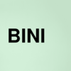 Stock bini logo