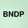 Stock bndp logo
