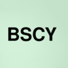 Stock bscy logo