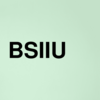 Stock bsiiu logo