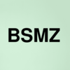 Stock bsmz logo