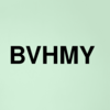 Stock bvhmy logo