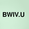 Stock bwiv.u logo
