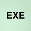 Stock exe logo