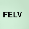 Stock felv logo