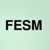 Stock fesm logo