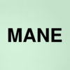 Stock mane logo