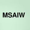 Stock msaiw logo