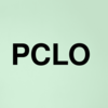 Stock pclo logo