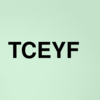 Stock tceyf logo