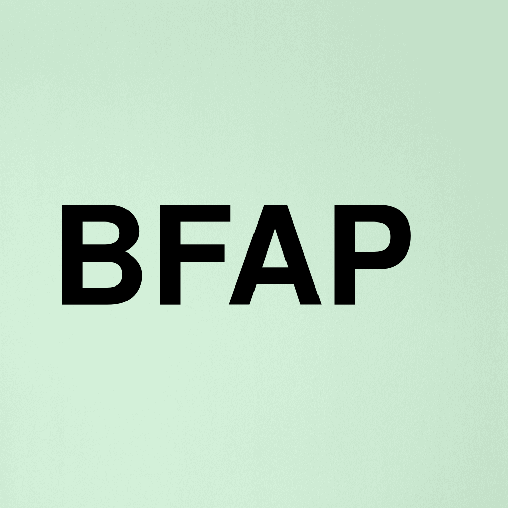 Stock bfap logo