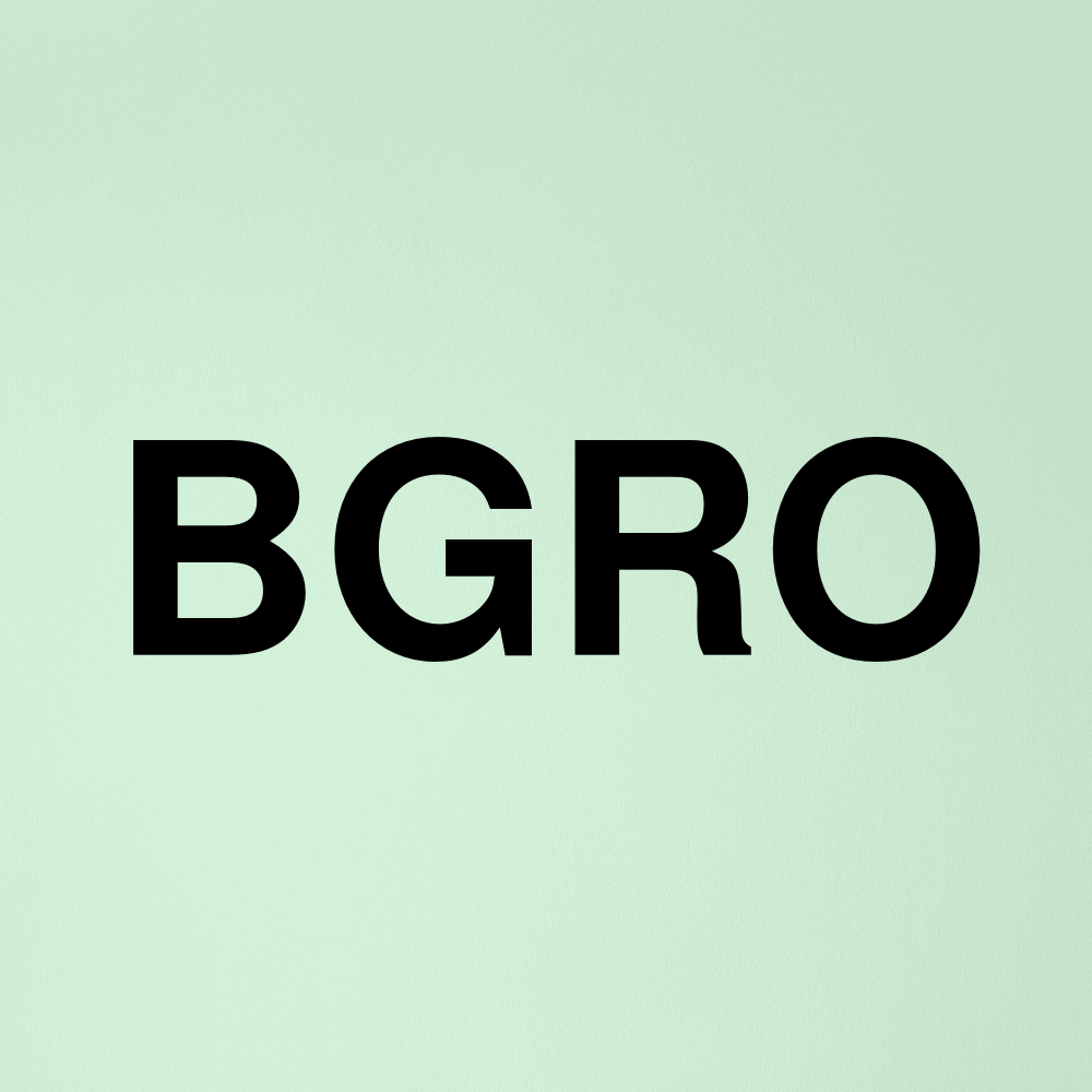 Stock bgro logo