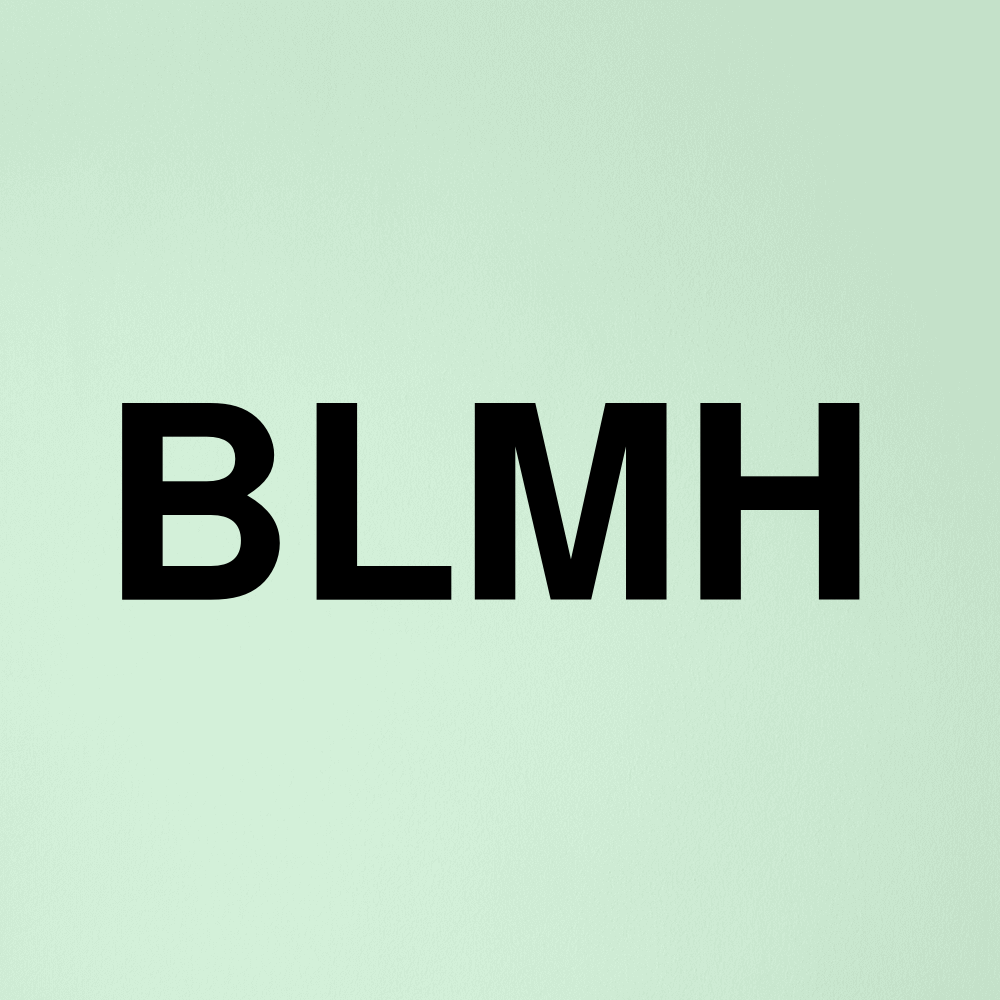 Stock blmh logo