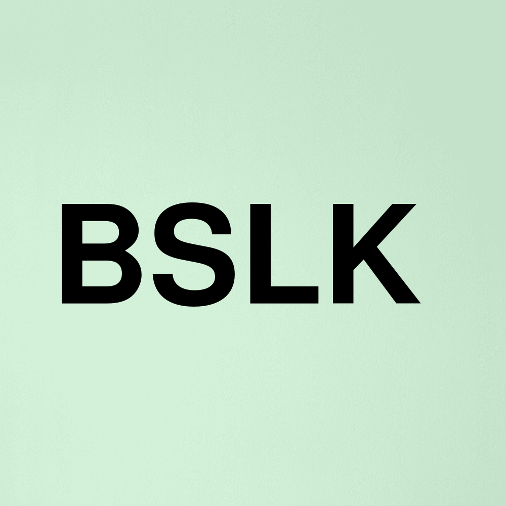 Stock bslk logo