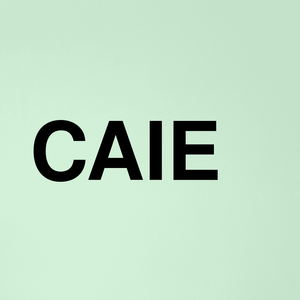 Stock caie logo