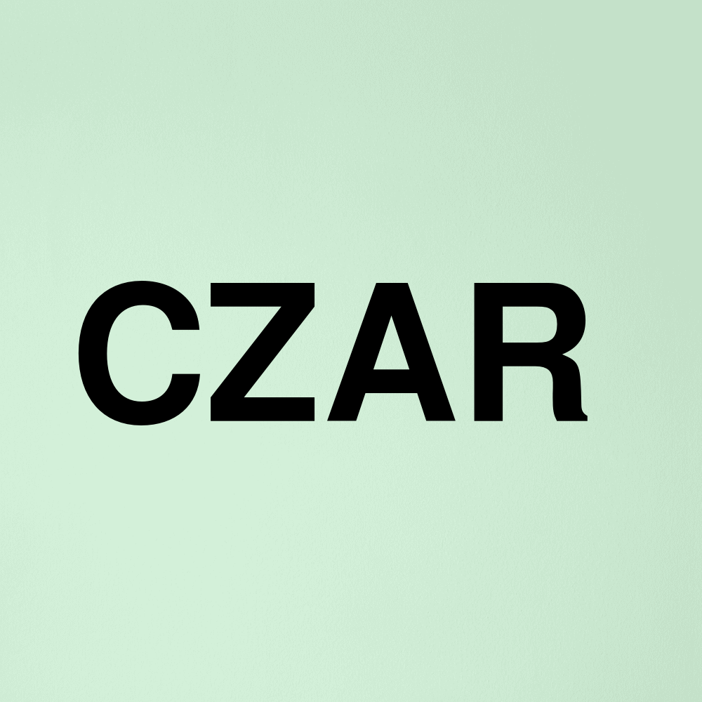 Stock czar logo