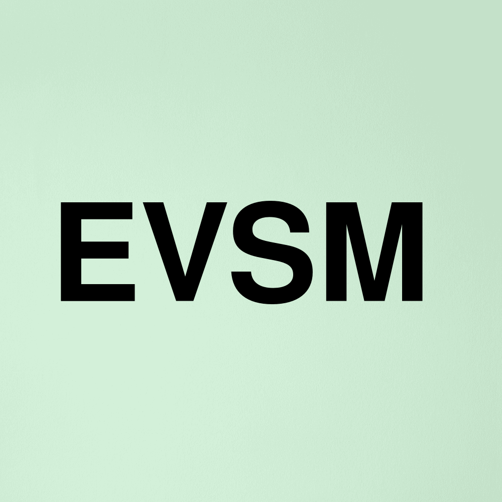 Stock evsm logo