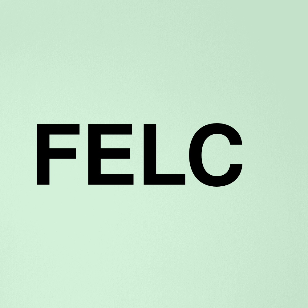 Stock felc logo