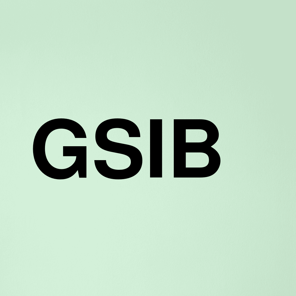 Stock gsib logo