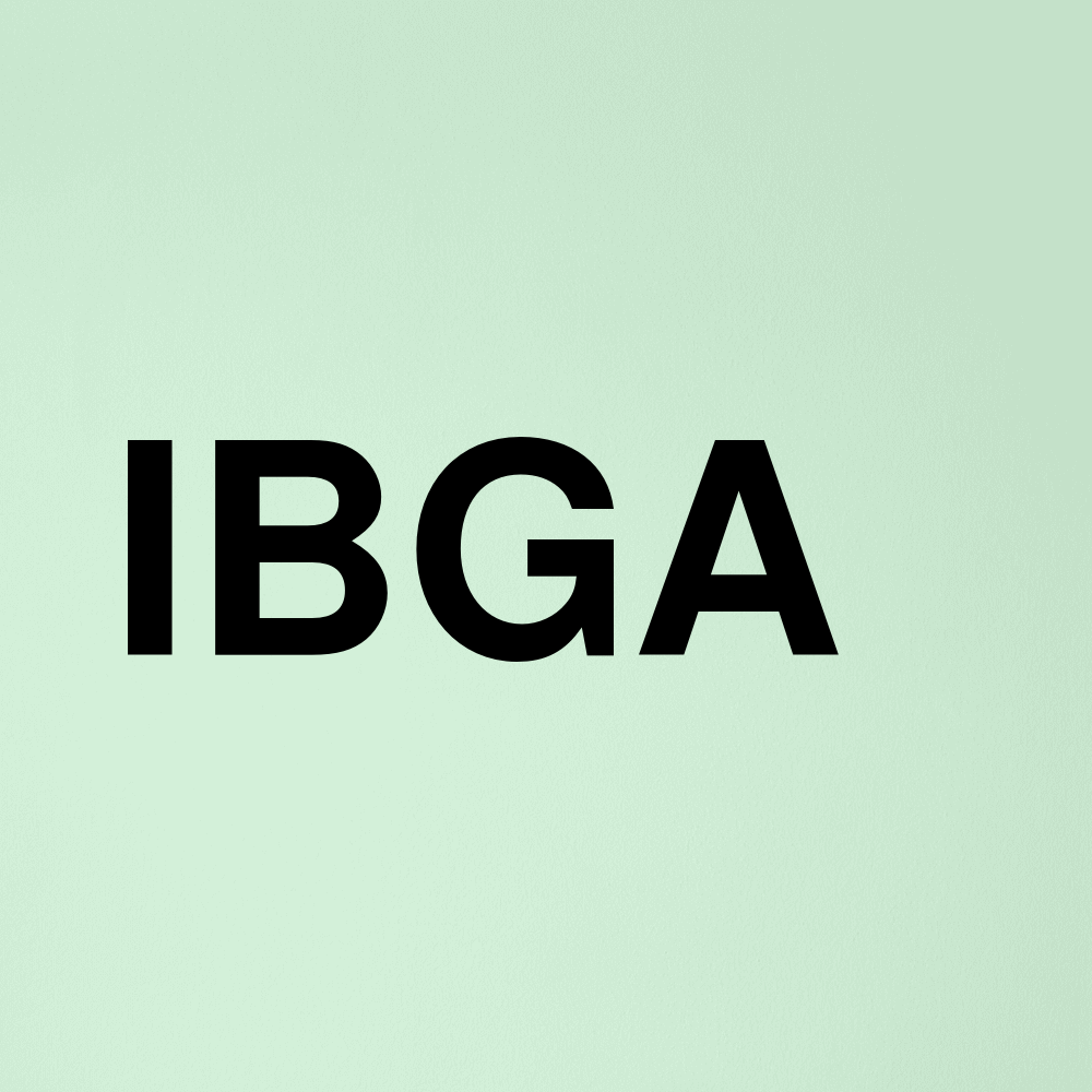 Stock ibga logo