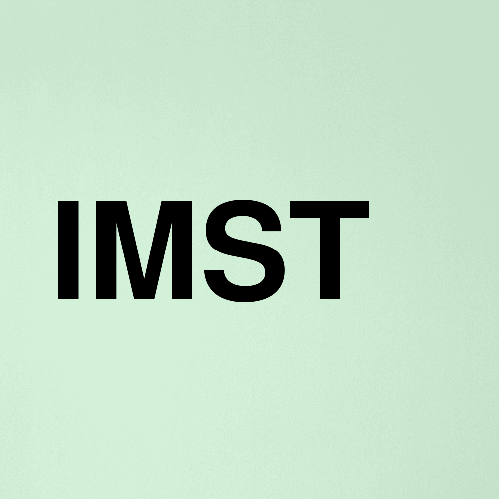 Stock imst logo