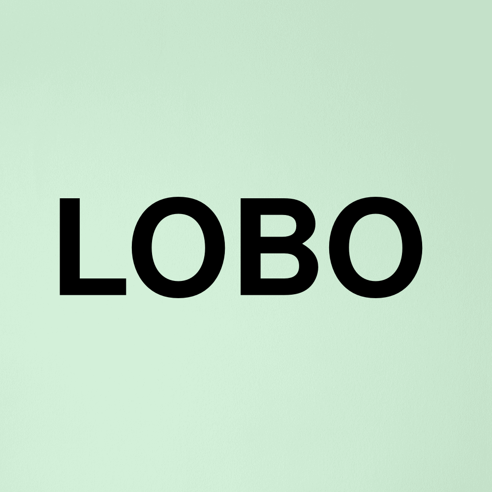 Stock lobo logo