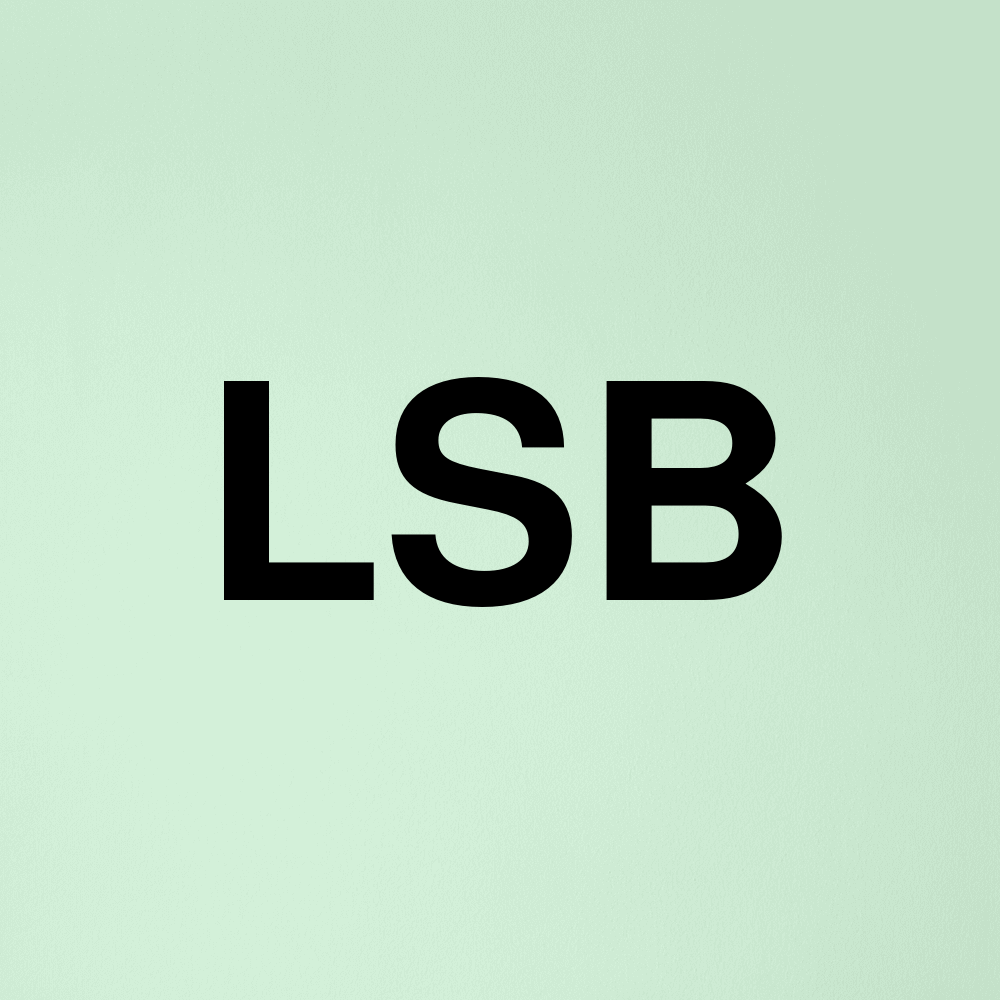 Stock lsb logo