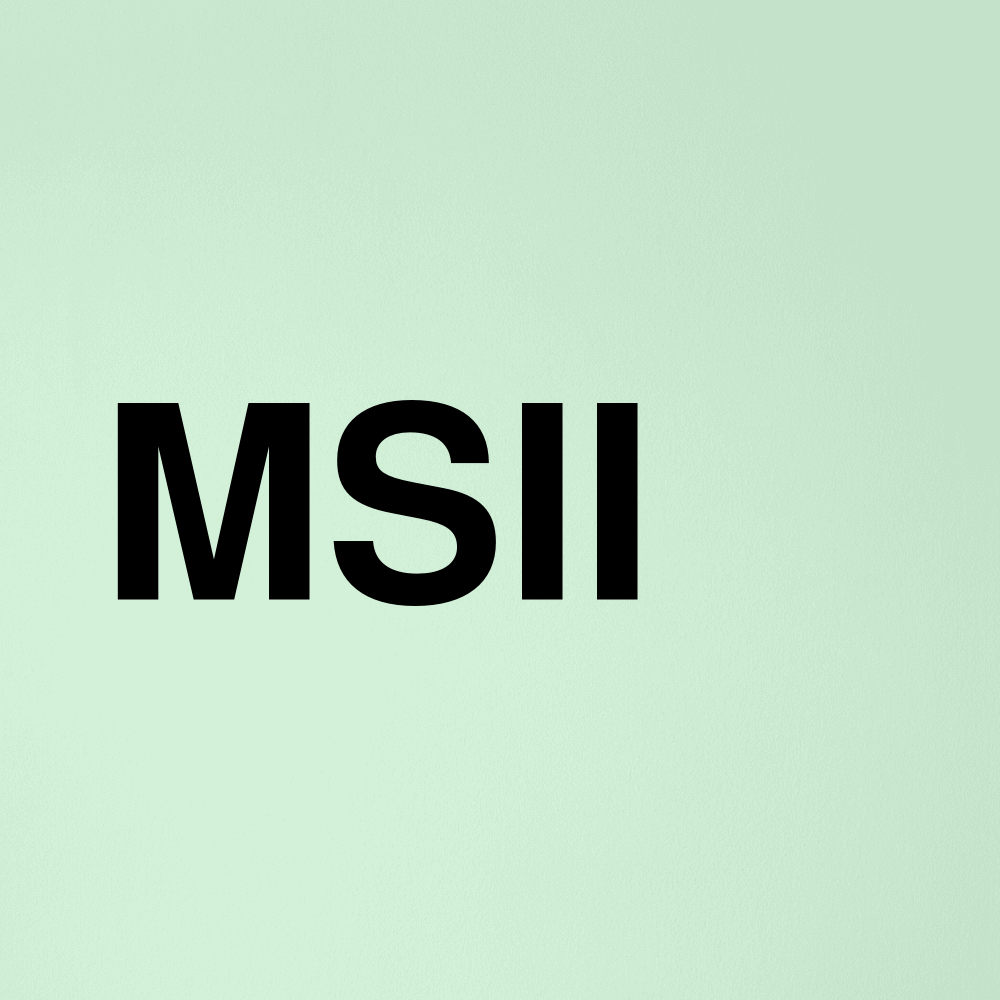 Stock msii logo