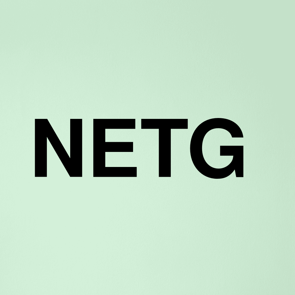 Stock netg logo