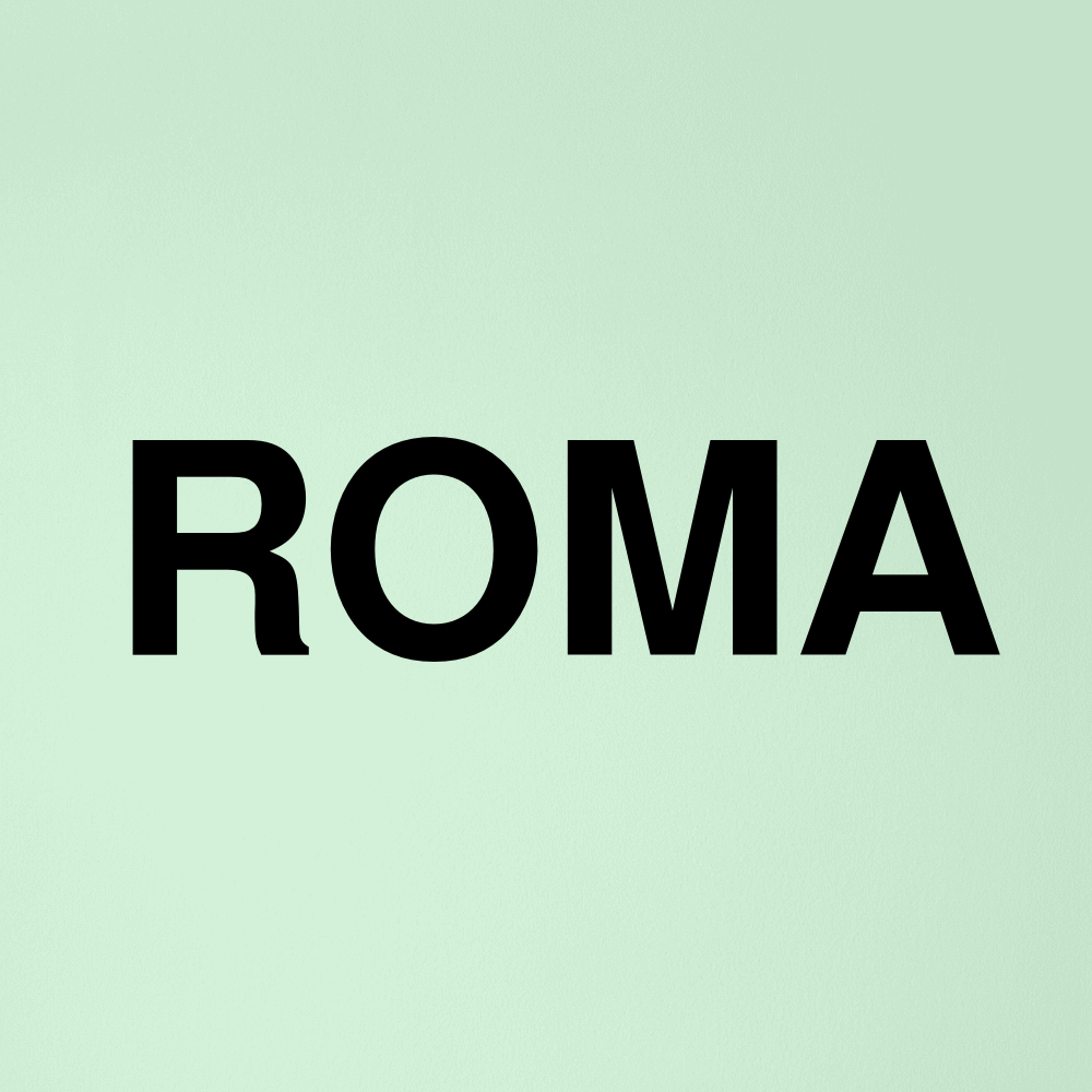 Stock roma logo