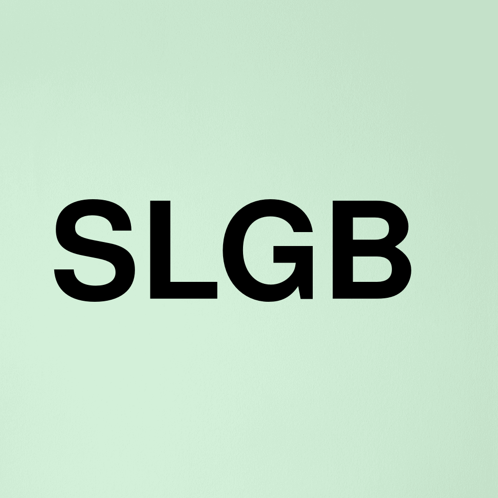 Stock slgb logo