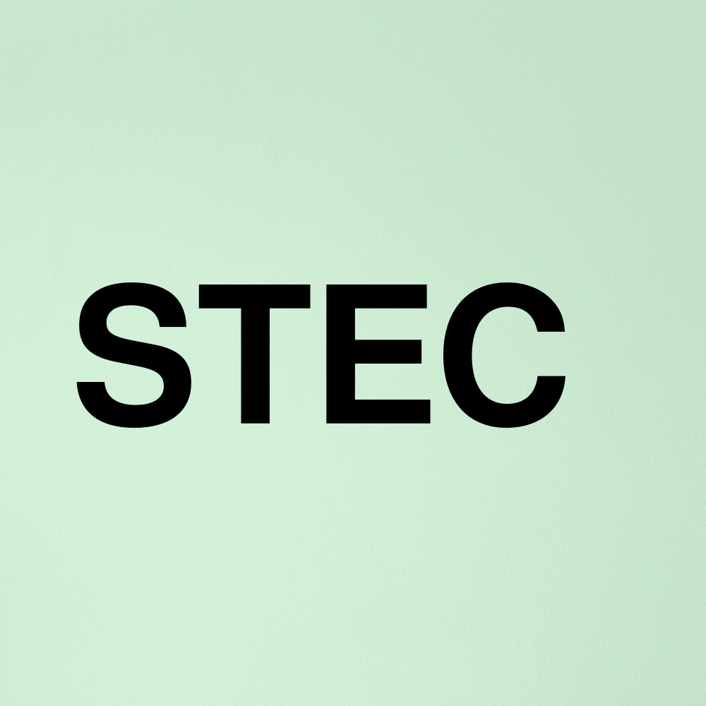 Stock stec logo