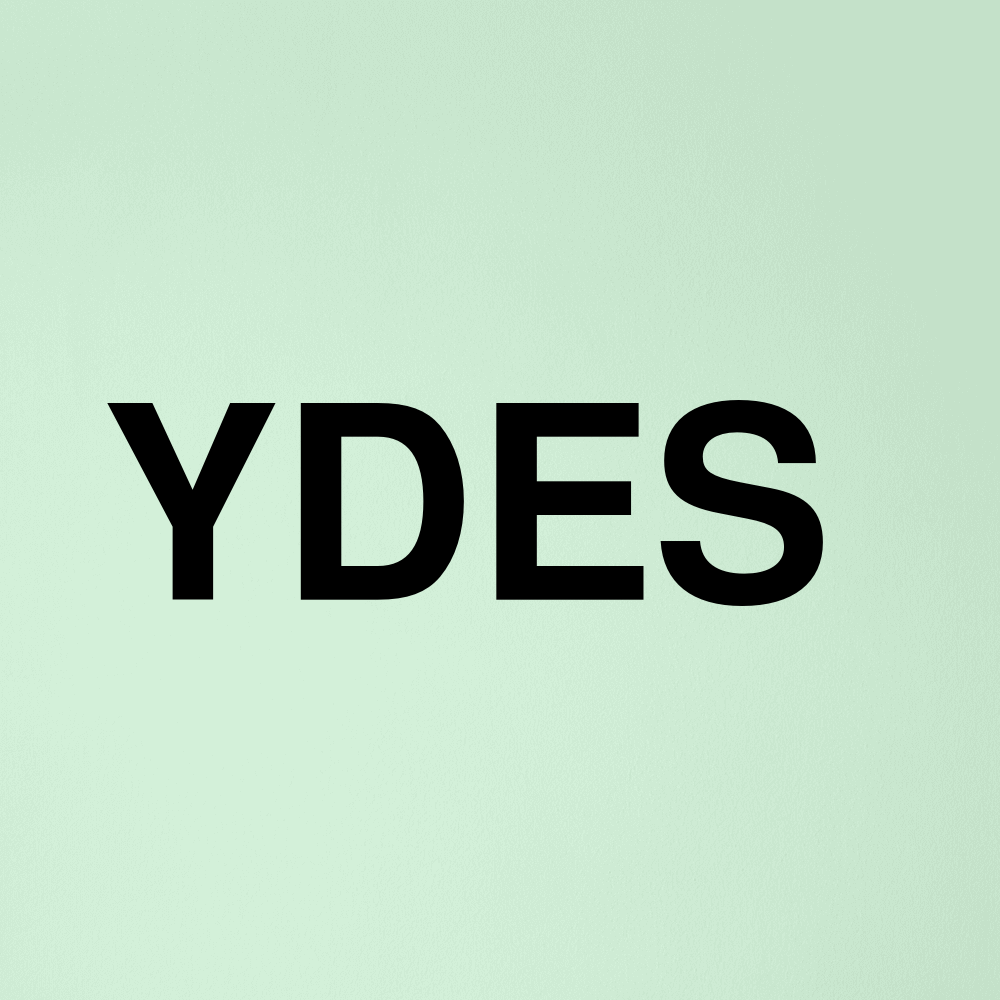 Stock ydes logo