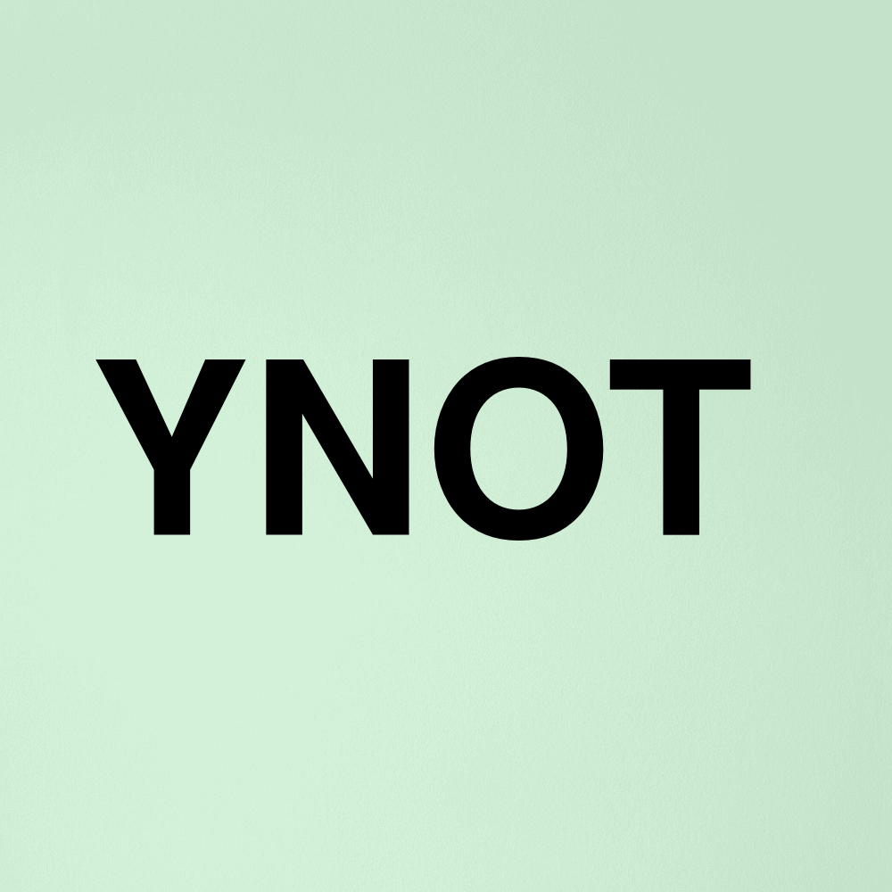 Stock ynot logo