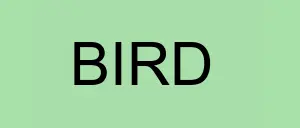 Stock  logo