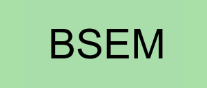 Stock bsem logo