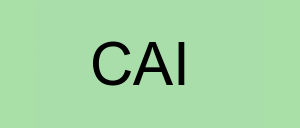 Stock cai logo