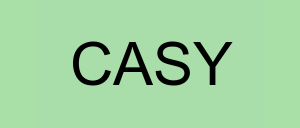 Stock casy logo