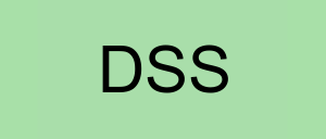 Stock dss logo