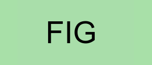 Stock fig logo
