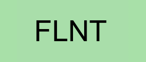 Stock flnt logo