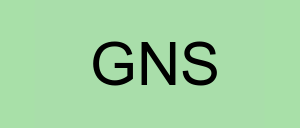 Stock gns logo